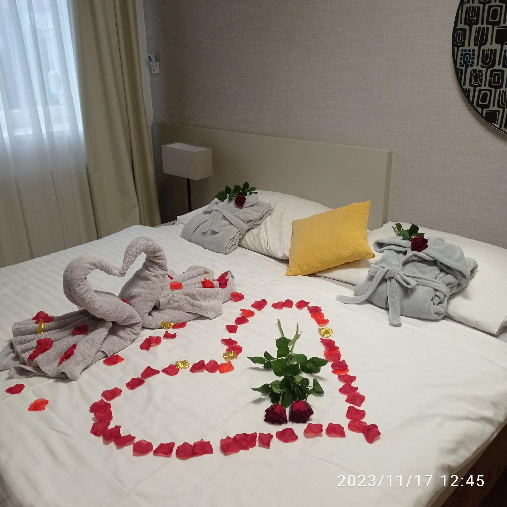 Penzion Solid Spa Hotel Mlada Boleslav Luaran gambar